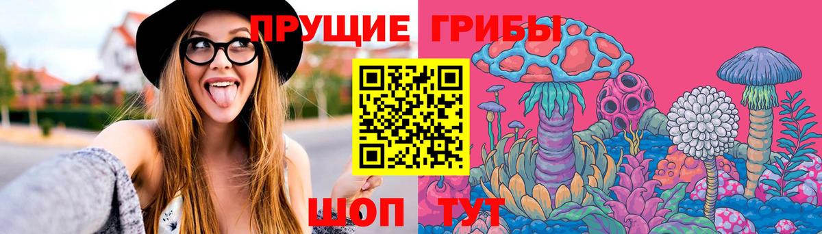 Галлюциногенные грибы GOLDEN TEACHER  Псилоцибиновые грибы Magic Shrooms  Вход с VPN  Клинцы 
